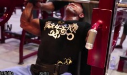 爆料鹿晨辉直播视频,一场视觉与情感的盛宴